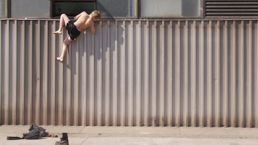 fehér tenyér.jpeg